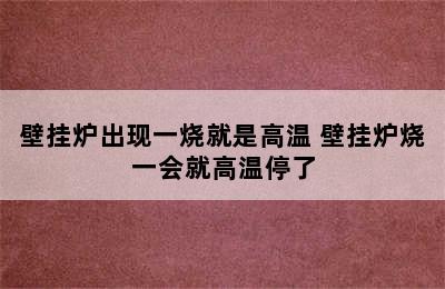 壁挂炉出现一烧就是高温 壁挂炉烧一会就高温停了